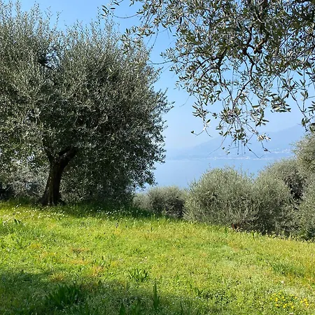 Lakeside 'al Crero' Torri Del Benaco