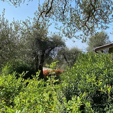 Feriehus Lakeside 'al Crero' Torri Del Benaco